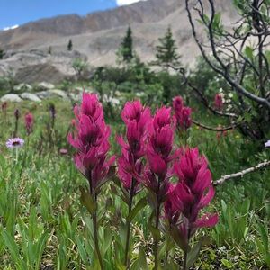 Listings past this are sold/no longer available